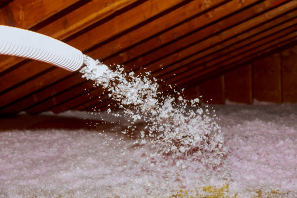 Best Eco-Friendly Insulation in Parker City, IN